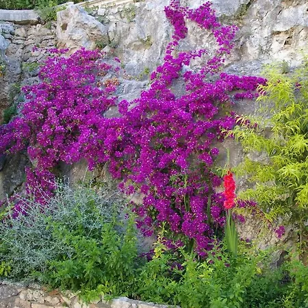 B&B Villa Clodia-2