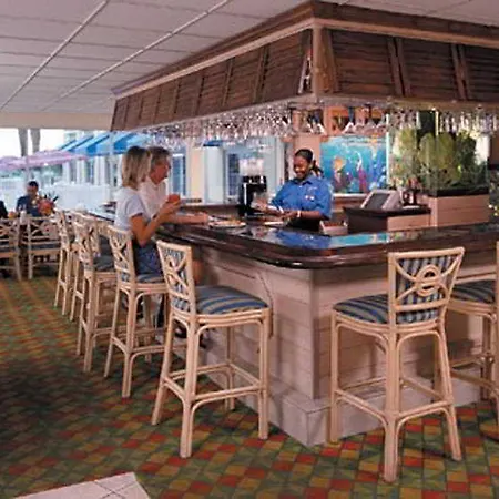 Nassau Palm-2