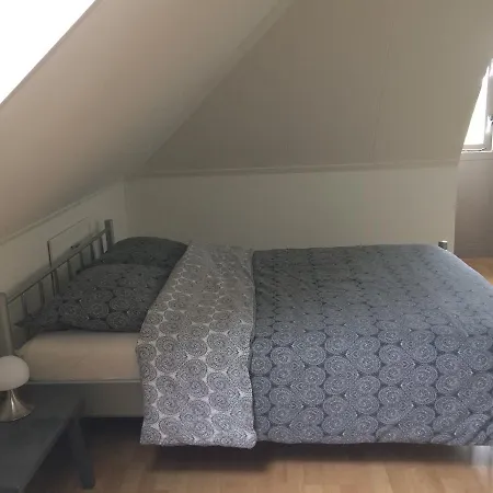B&B Op Wijngoed Havelte-2