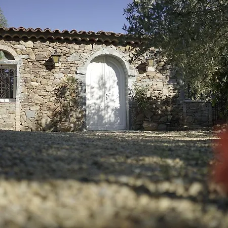 La Maison des Oliviers-3