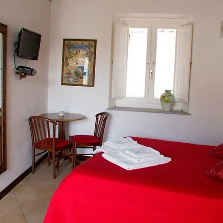 B&B Amphisya-2