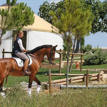 Quinta M - Portugal-2