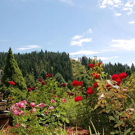 Fox Den Bed & Breakfast-3