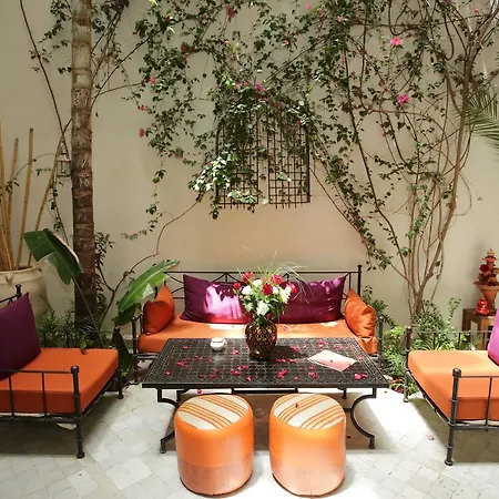 Riad White Flowers-2