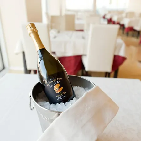Palace Hotel&SPA La CONCHIGLIA D' ORO-3