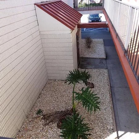 Econo Lodge Palm Harbor - Clearwater-2