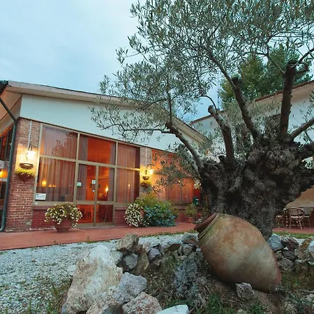 Hotel Giuly-2