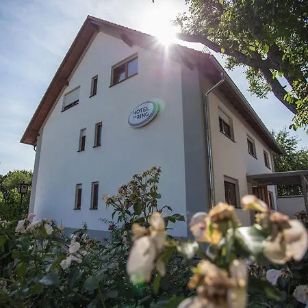 Hotel am Ring-2
