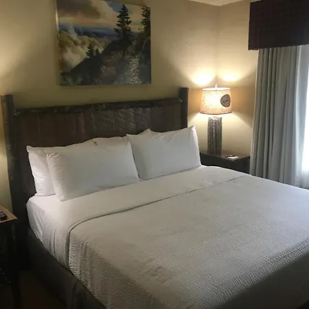 The Appy Lodge-2