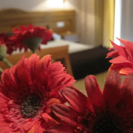 Hostal Arba-2