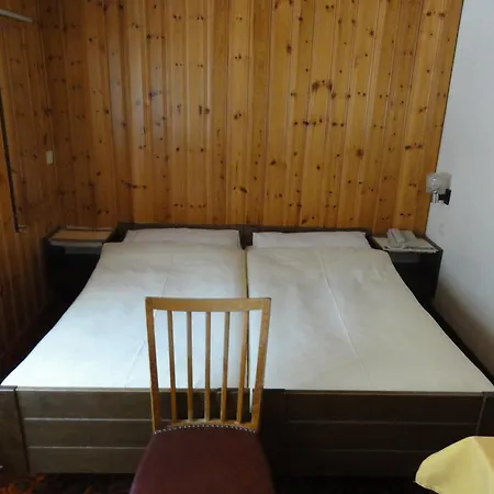 Hotel Alfa Zermatt-3