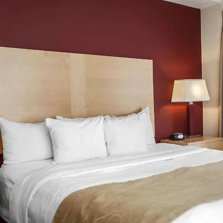 Comfort Suites Michigan Avenue-2