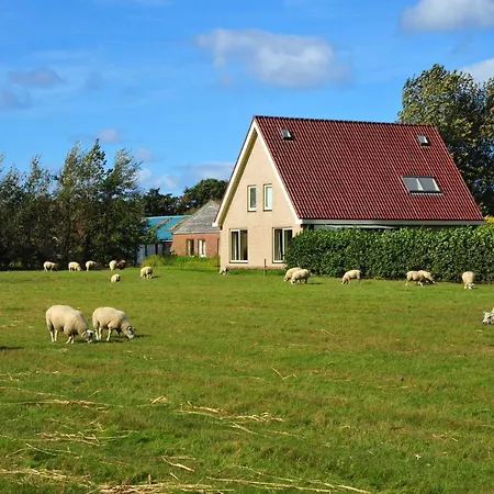 Witte Weelde Texel-2