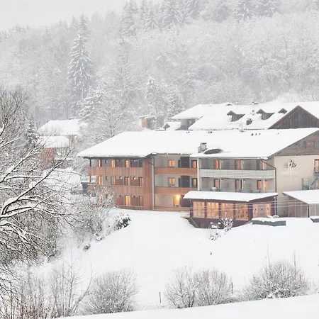 Hotel der Bäume-3