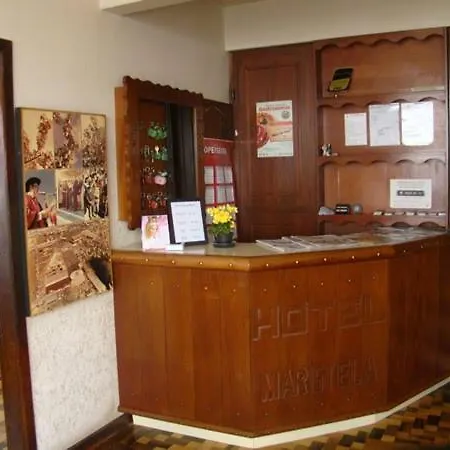 Hotel Maristela-2