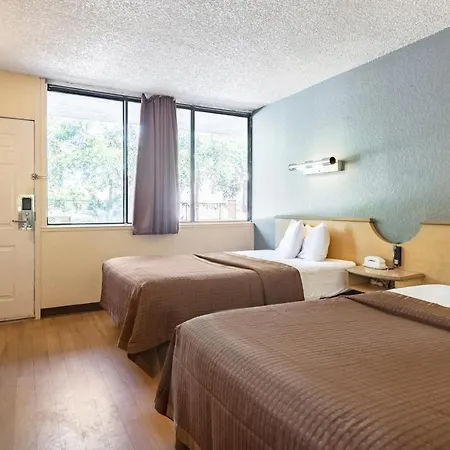 Econo Lodge Palm Harbor - Clearwater-2