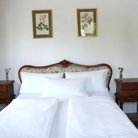 Hotel Viktoria-3