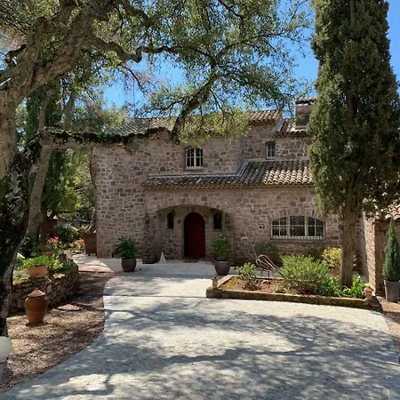 B&B La Palatine-2