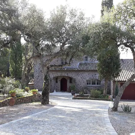B&B La Palatine-3