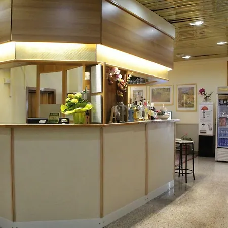 Hotel Lugano-3