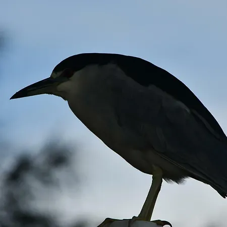 Pousada Barra Sul-2