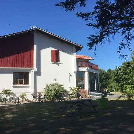 Saint Hubert-2