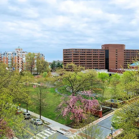 Washington Marriott Wardman Park-3