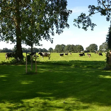 Op de Kuyerlatten-3