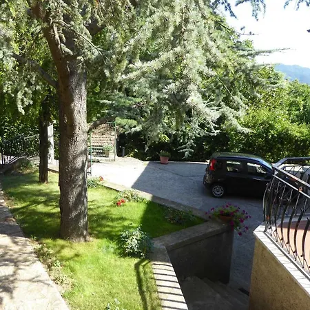 Il Riccio Tra I Castagni-2