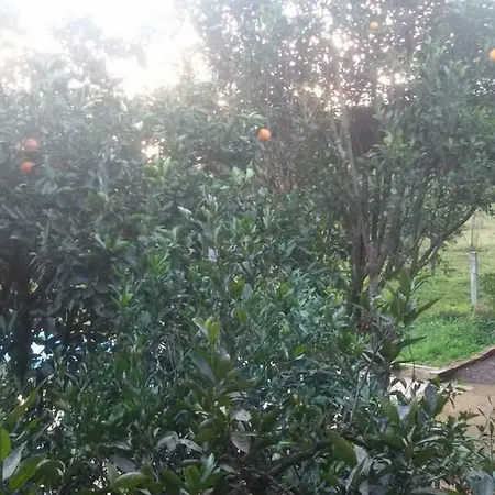 Pousada Legal-2