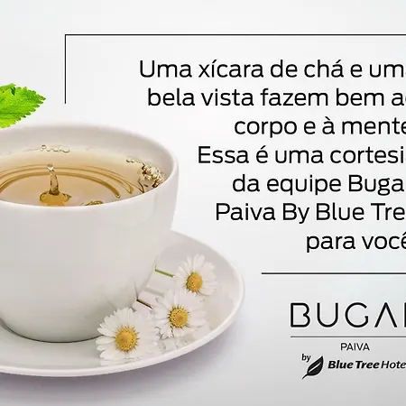 Bugan Paiva By Blue Tree-2