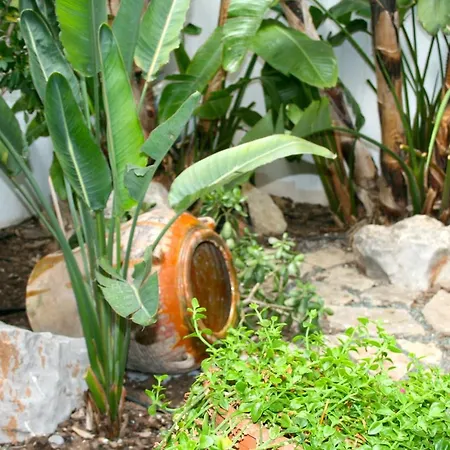 El Pinche de Oro-3