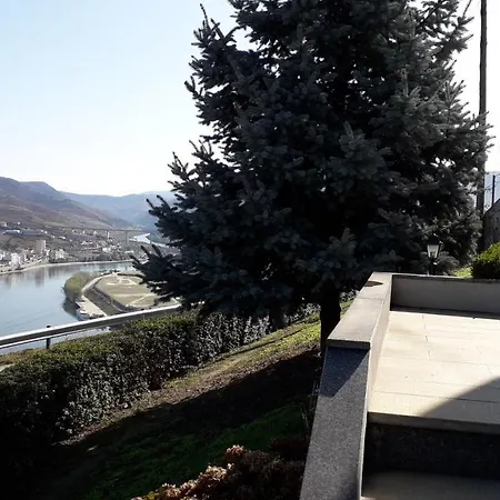 Mito'S House & Douro View-2