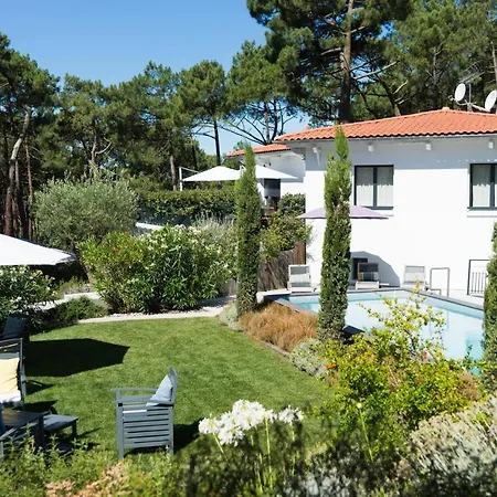 Ferret Vigne - Villa Chambres d'Hôtes-2