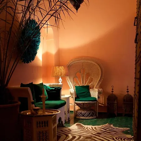 The Bohemian Jungle-2
