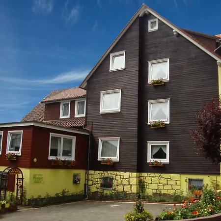 Hotel Hecker Braunlage-3