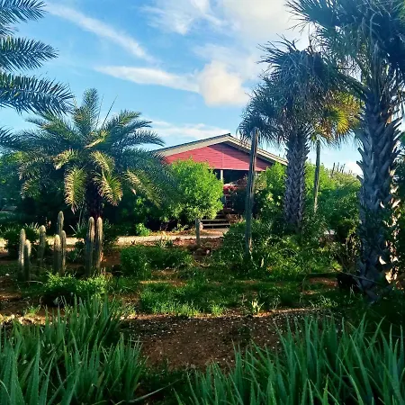 Red Palm Village-2