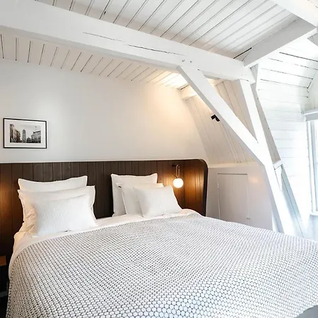 Cozy Pillow-3