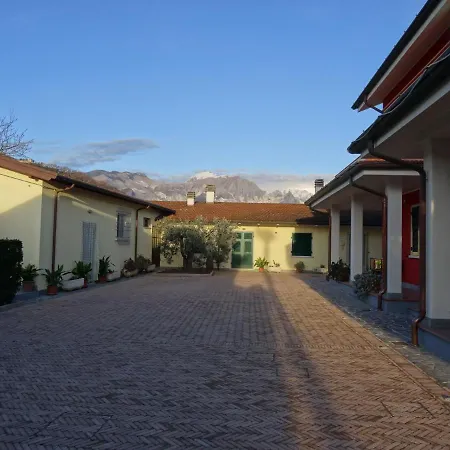 Merlo d'Oro-2
