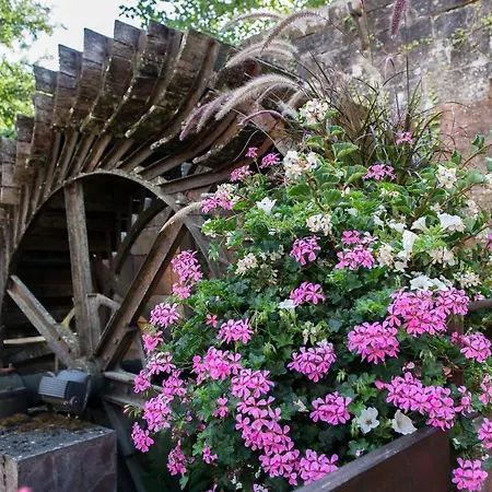 Le Moulin De La Walk-3