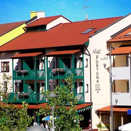 Hotel Fortuna-3