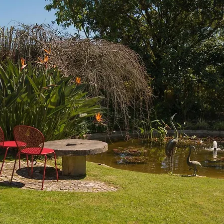 Quinta Das Pedras - Small Luxury Guesthouse-2
