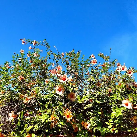 Pousada Mandala-3