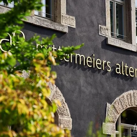 Mittermeiers Alter Ego-2
