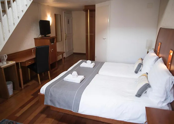 Hotel Regina Losanna