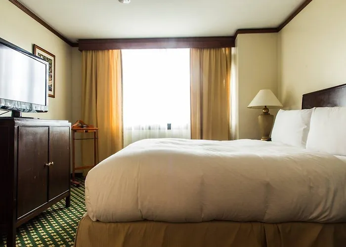 The Hotel