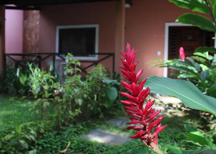 Hotel Cantinho Das Flores