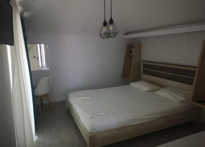 Gatos House 2