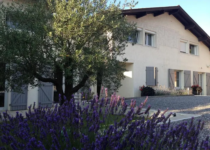 Bed and Breakfast Aux Sources d'Hossegor à Soorts-Hossegor