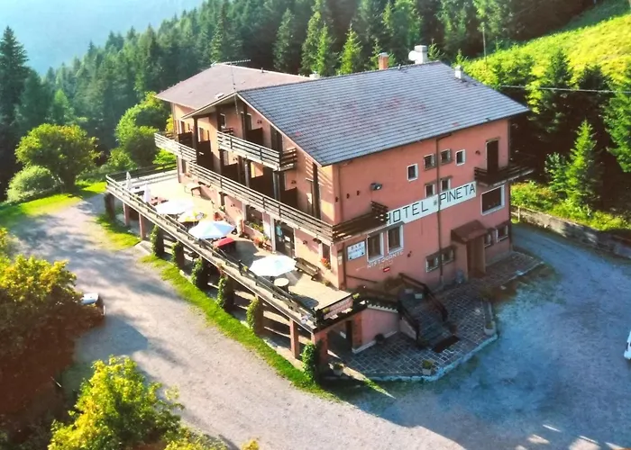 Albergo Ristorante Pineta